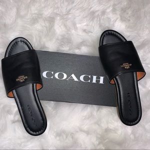 Coach Sandals